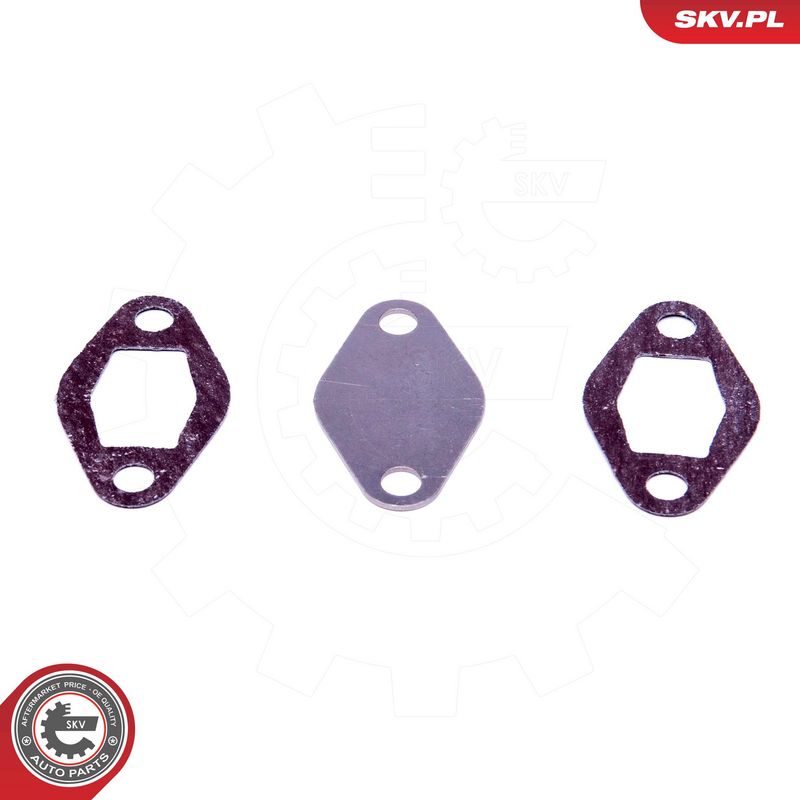 Set de reparație, supapă AGR ESEN SKV 14SKV548