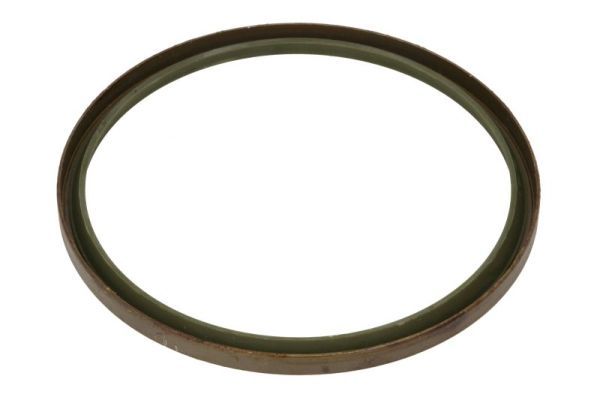 BTA B06-2247 Seal, spring link