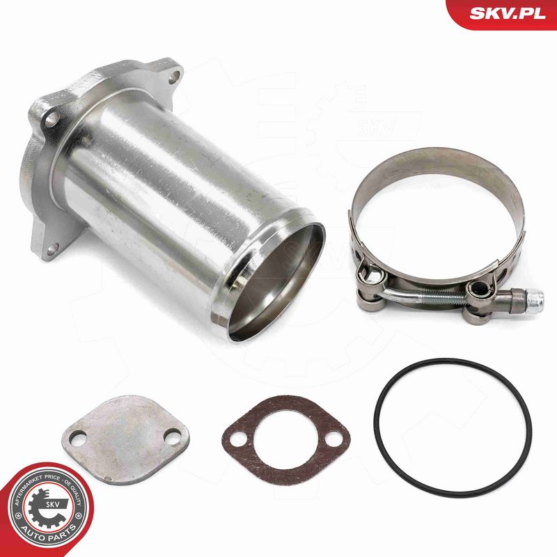ESEN SKV 14SKV581 Repair Set, EGR valve