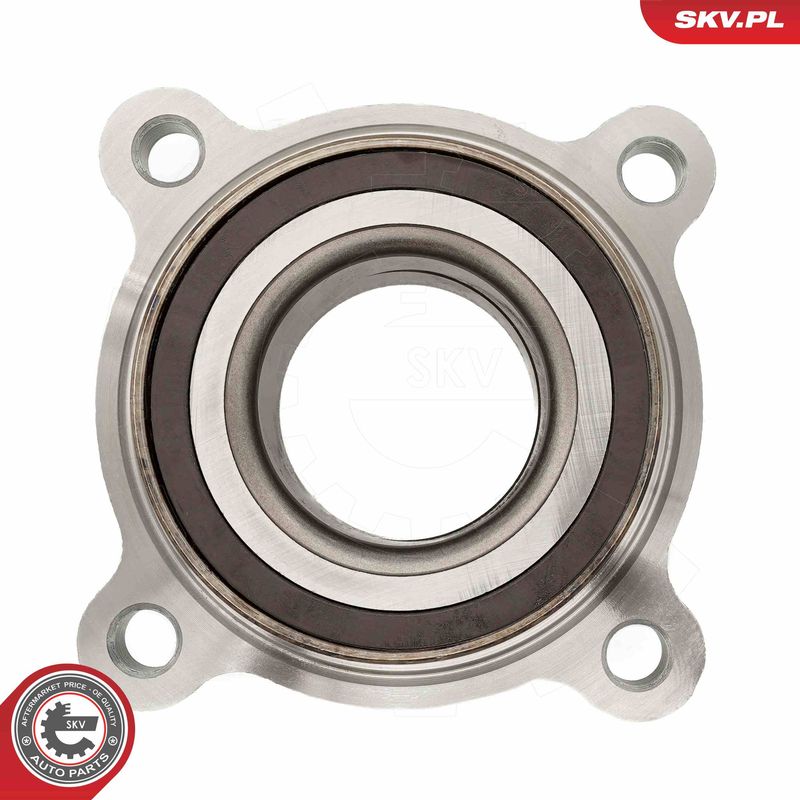 ESEN SKV 29SKV673 Wheel Bearing Kit