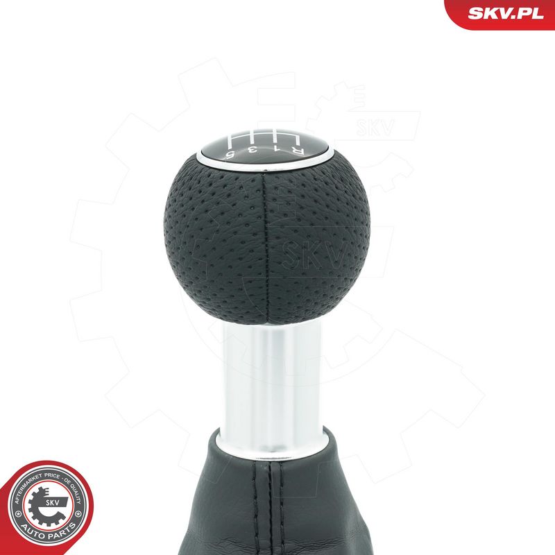 Käigukanginupp, ESEN SKV 63SKV401