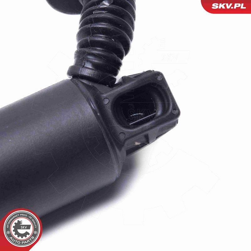 ESEN SKV 52SKV968 Electric Motor, tailgate