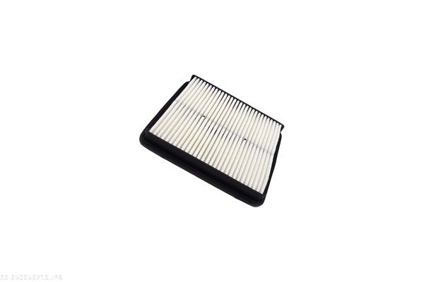 AUTOMEGA 250052710 Air Filter