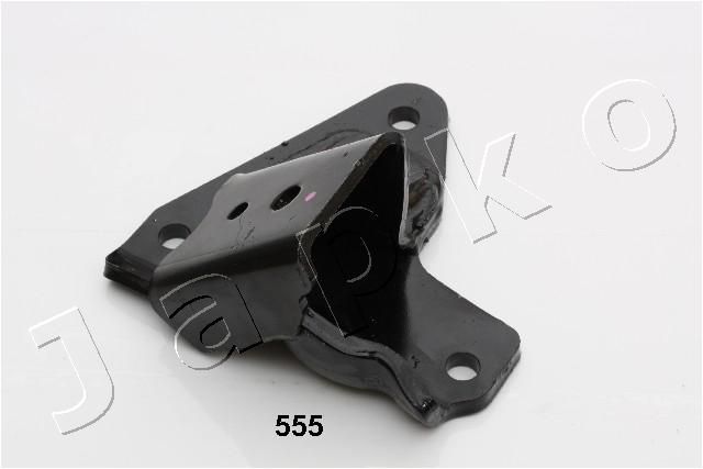 GOJ555_1.JPG