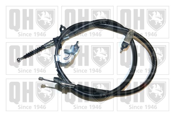 QH_BC3905.JPG