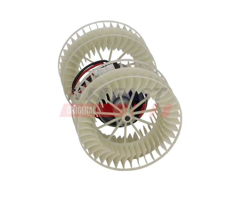 Salongipuhur, FAST FT13813