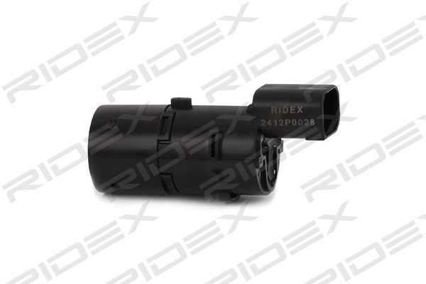 8120763_304.JPG