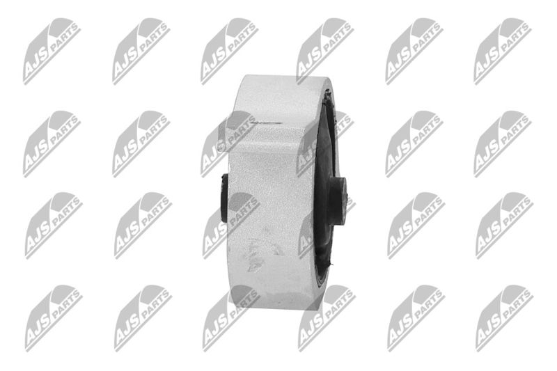 Paigutus, Mootor, NTY ZPS-NS-082