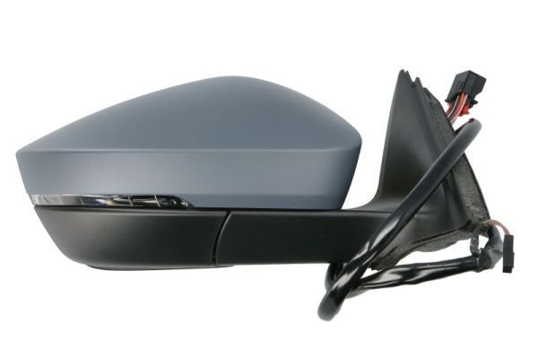 BLIC 5402-43-1319319P Exterior Mirror