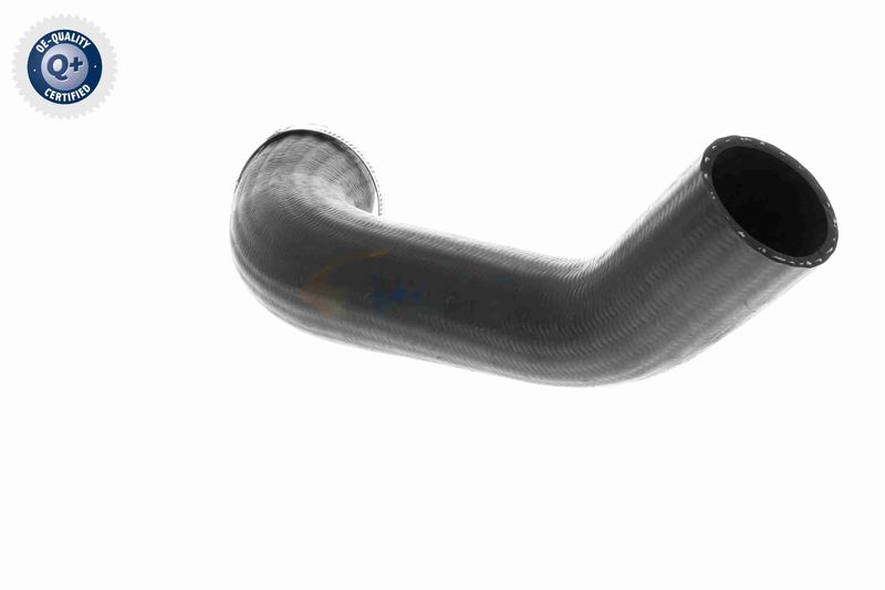 VAICO V25-1161 Charge Air Hose