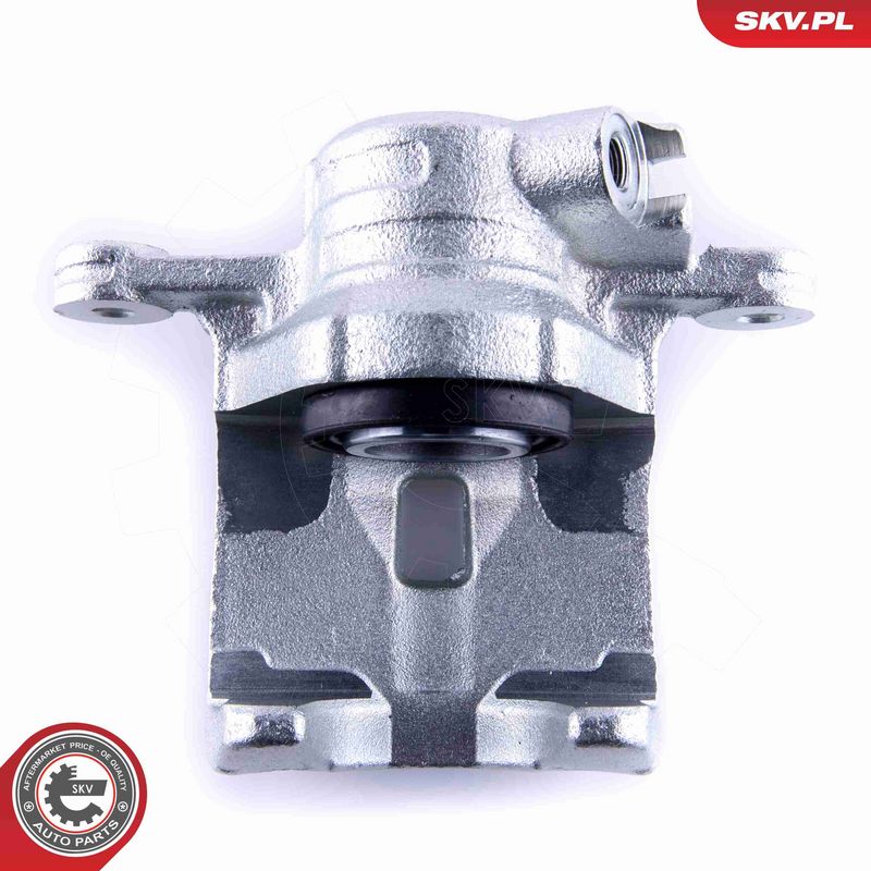 Pidurisadul, ESEN SKV 55SKV283