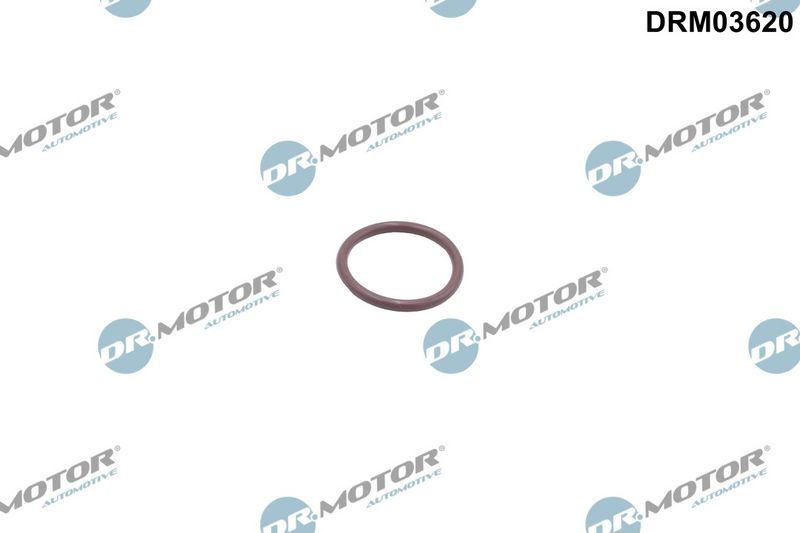 Dr.Motor Automotive Tarpiklis, turbinos oro žarna