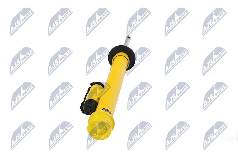 Amort, NTY A-CH-131
