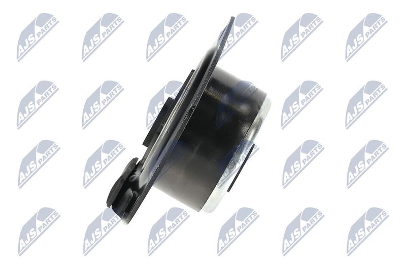 Paigutus, Mootor, NTY ZPS-CH-014