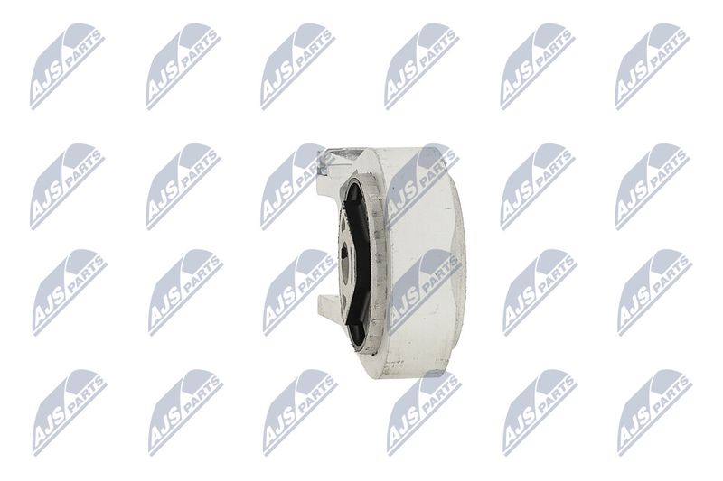 Paigutus, Mootor, NTY ZPS-PE-002