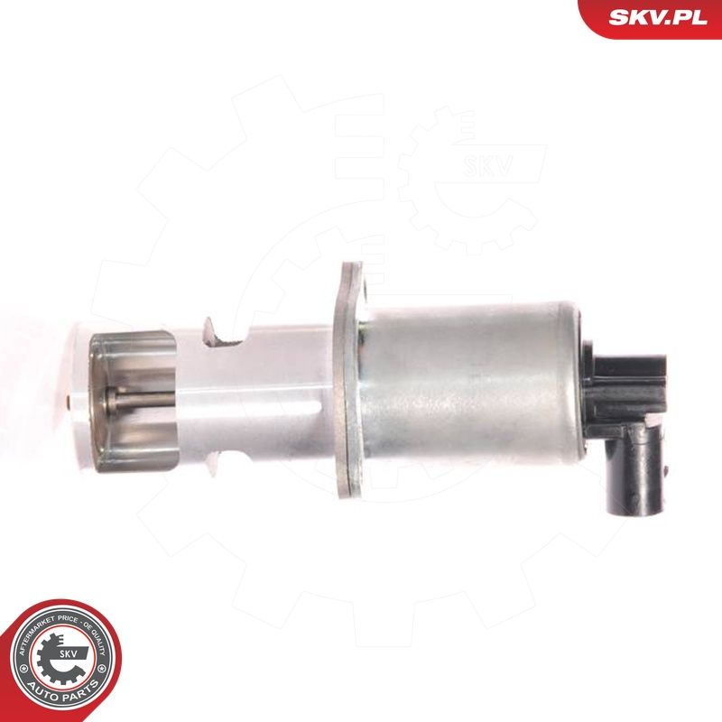 EGR-klapp, ESEN SKV 14SKV010