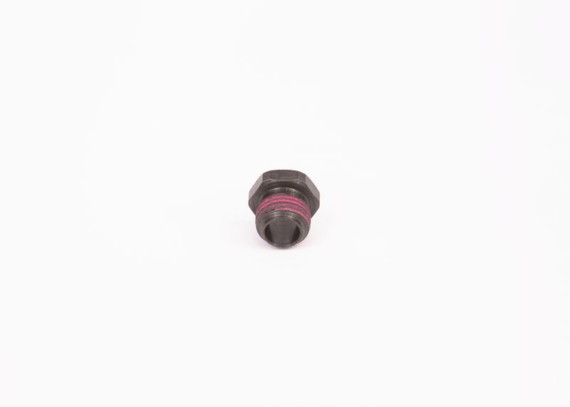Surub 1 423 455 010 BOSCH