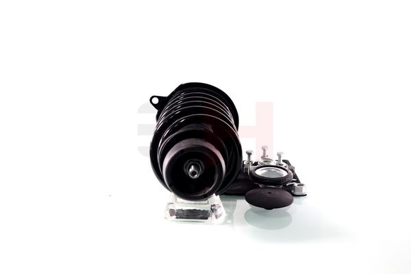 Vedruamort, GH GH-354710C12