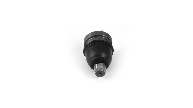 SKF VKDS318901 Šarnyras / girgždukas
