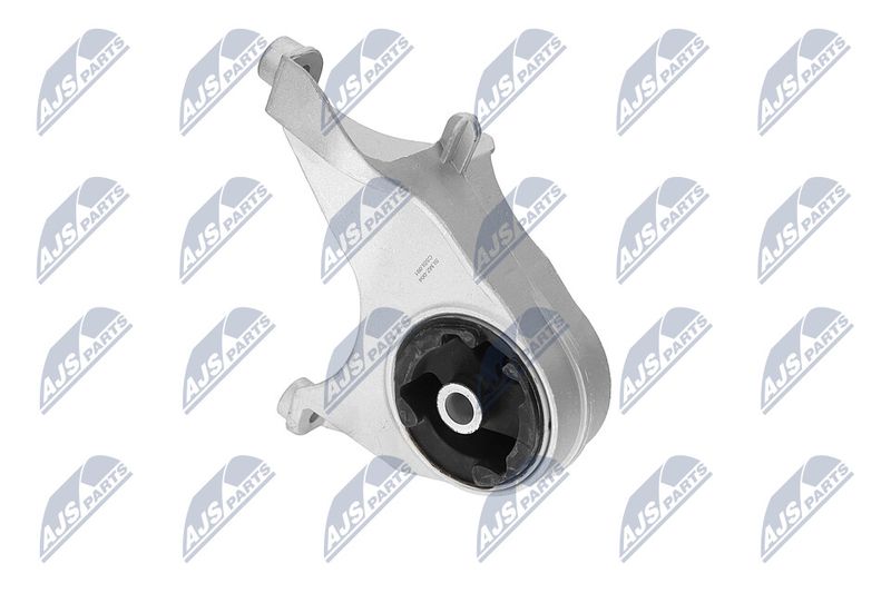 Paigutus, Mootor, NTY ZPS-CH-149