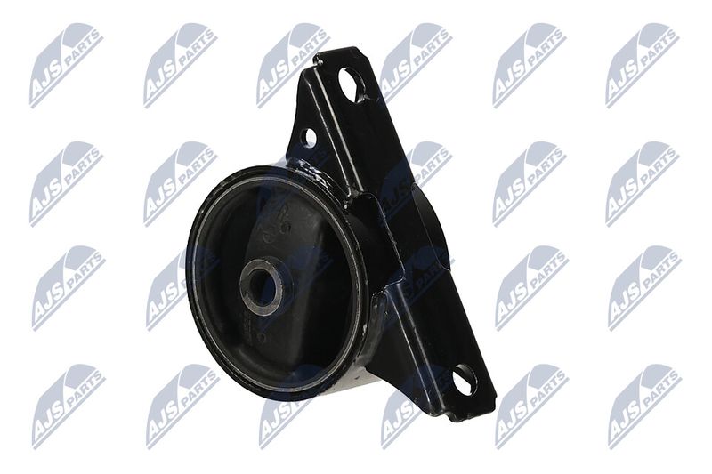 Paigutus, Mootor, NTY ZPS-MS-013