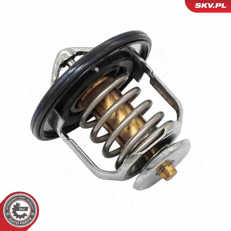 ESEN SKV 20SKV235 Termostatas