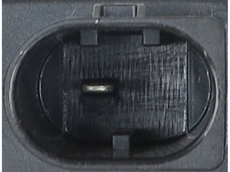 197598.JPG