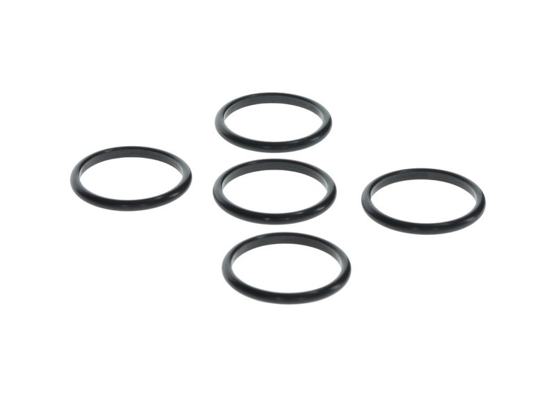 BOSCH H146600080 Rubber Ring