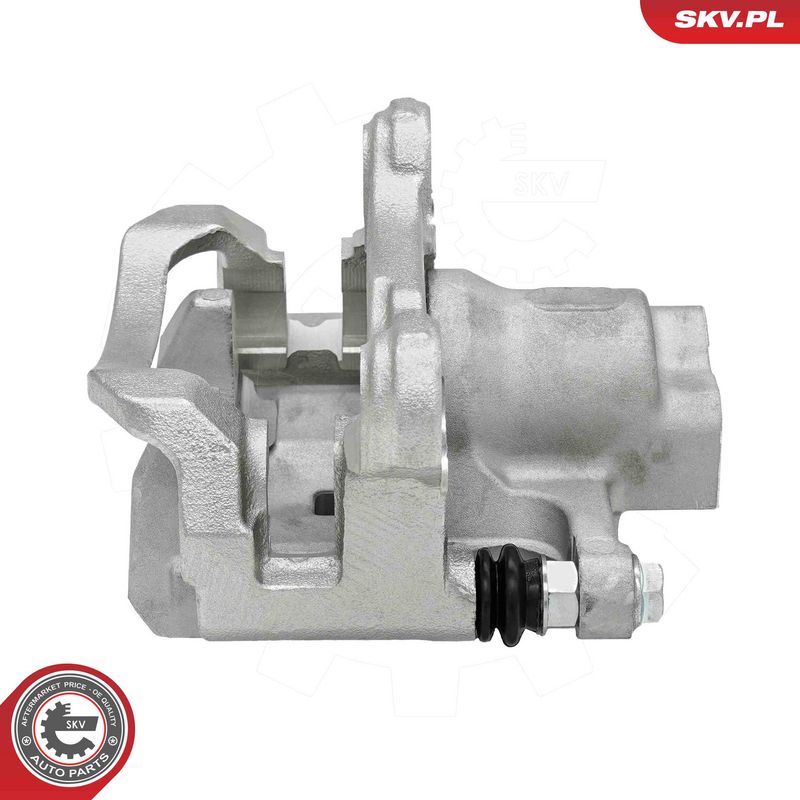 Pidurisadul, ESEN SKV 79SKV173