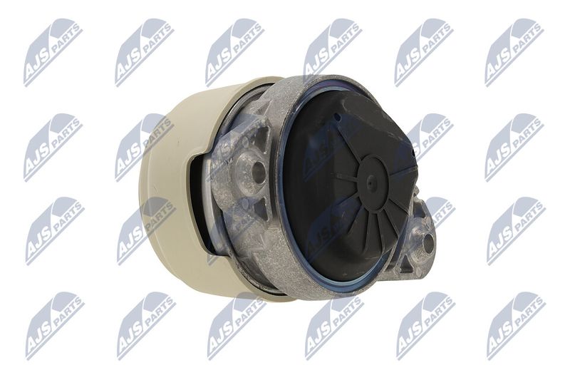 Paigutus, Mootor, NTY ZPS-ME-011