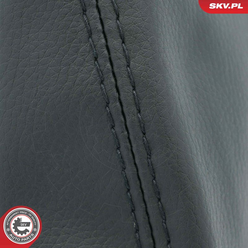 Käigukanginupp, ESEN SKV 63SKV907