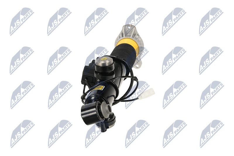 Amort, NTY A-BM-085