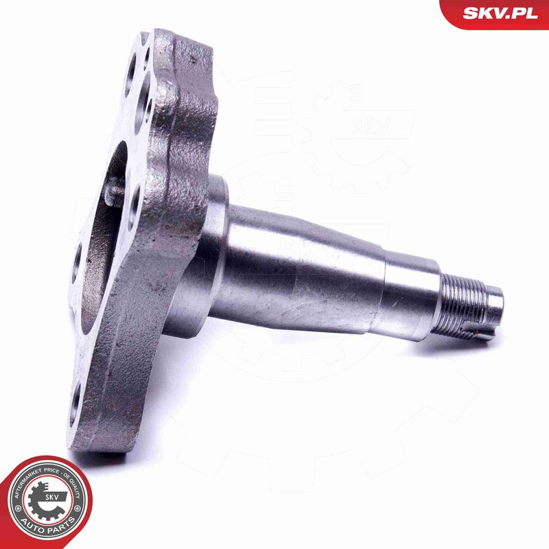ESEN SKV 29SKV995 Wheel Bearing Kit