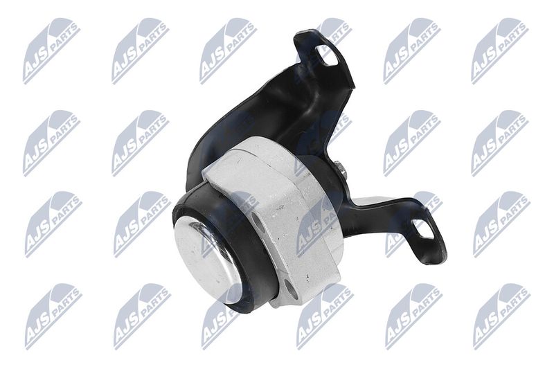 Paigutus, Mootor, NTY ZPS-FR-011