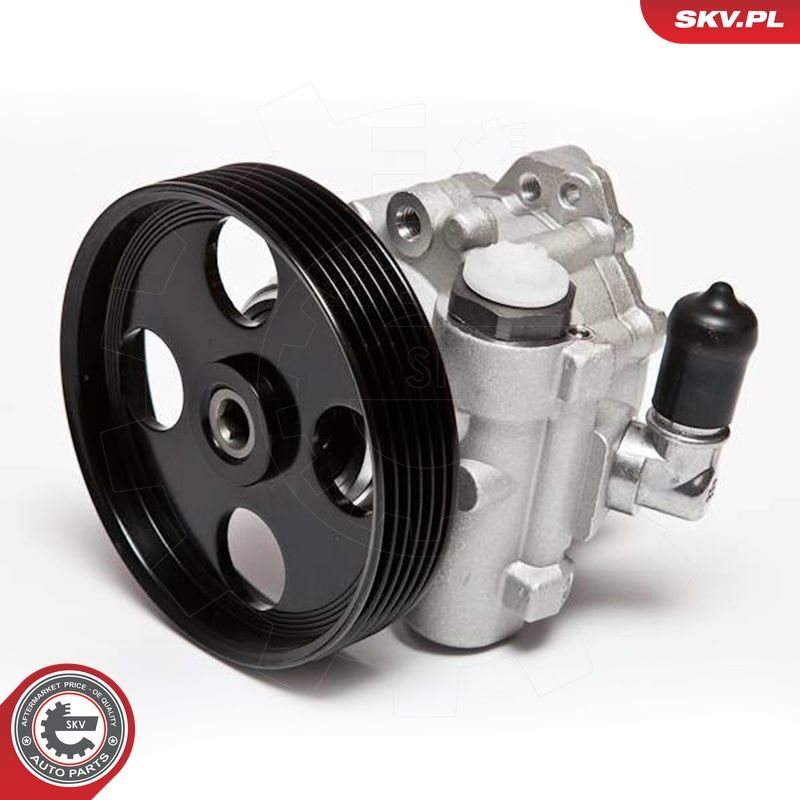 Hüdraulikapump, roolimine, ESEN SKV 10SKV004