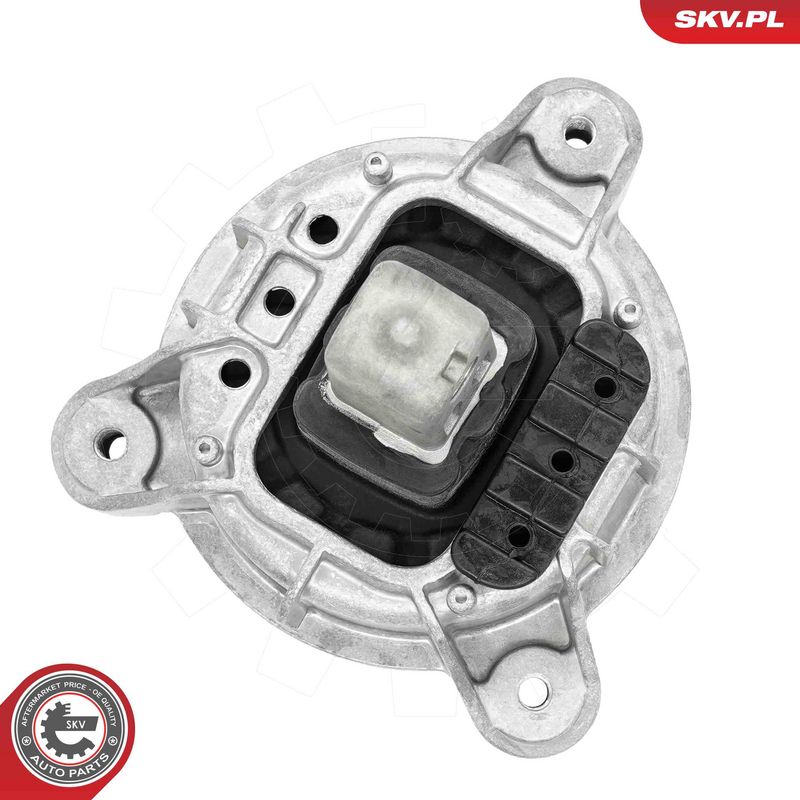 Paigutus, Mootor, ESEN SKV 75SKV249