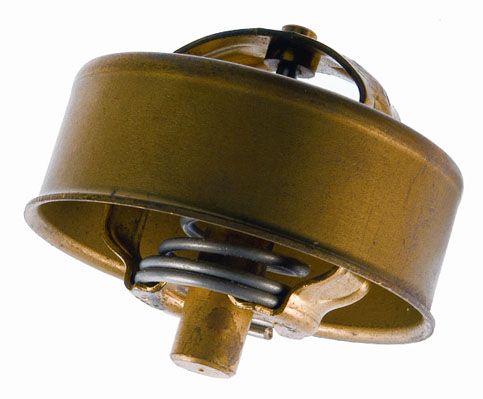 BorgWarner (Wahler) 3053.75 Thermostat, coolant