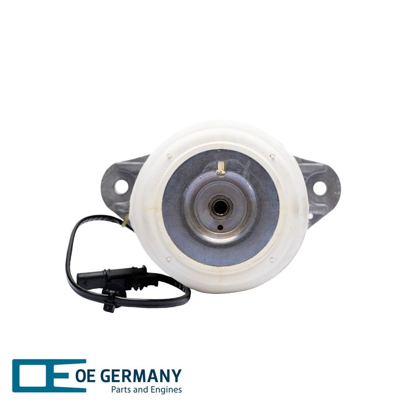 800415-1-V1-OEG.JPG