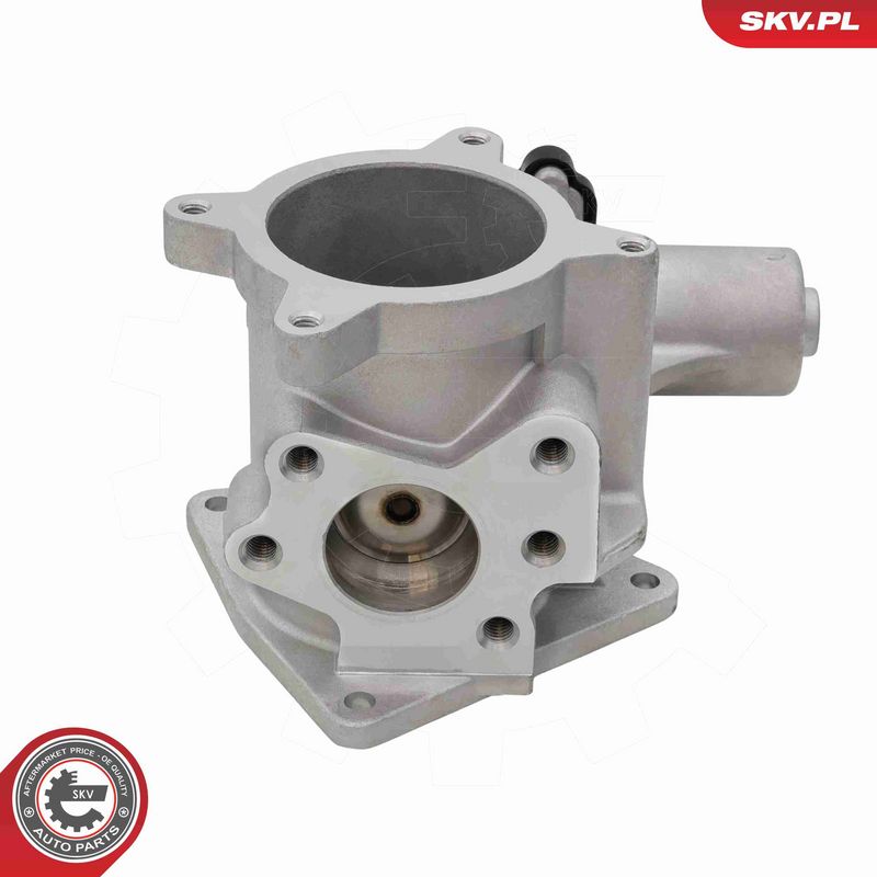ESEN SKV 14SKV320 EGR Valve