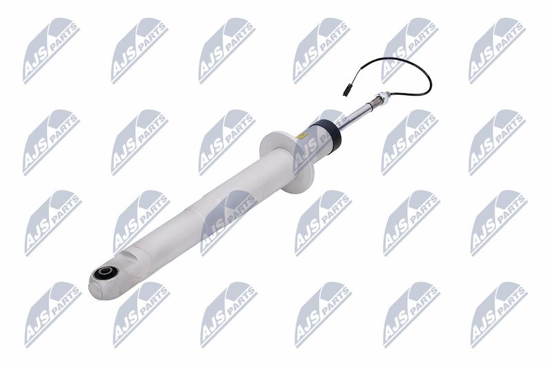 Amort, NTY A-MA-003