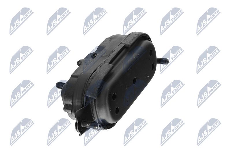 Paigutus, Mootor, NTY ZPS-CH-115