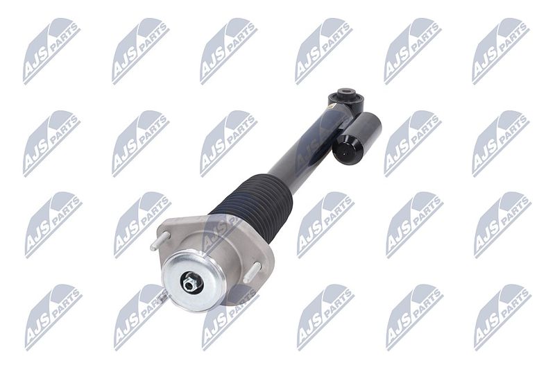 Amort, NTY A-LR-020