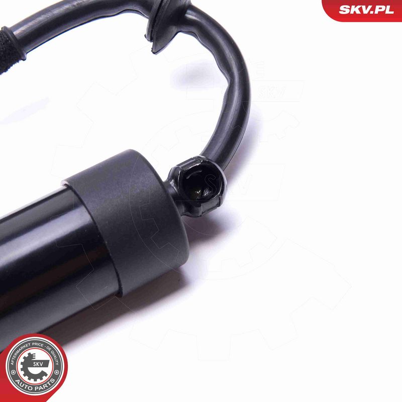 ESEN SKV 52SKV908 Electric Motor, tailgate