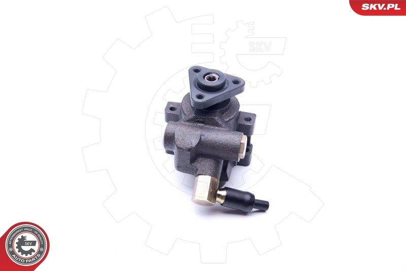 ESEN SKV 10SKV259 Hydraulic Pump, steering