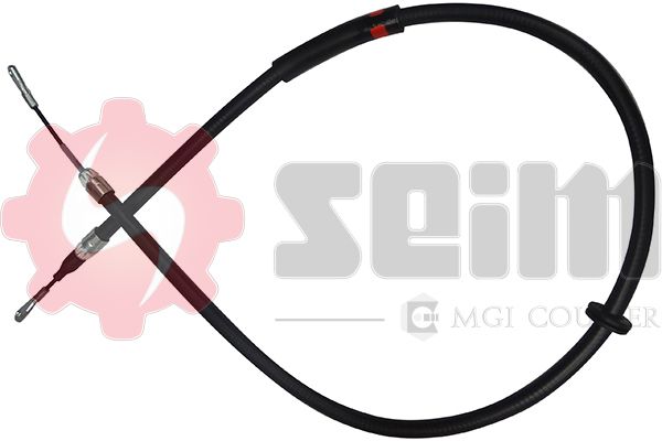 555042.JPG