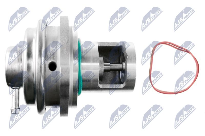 EGR-ME-003_4-WM.JPG