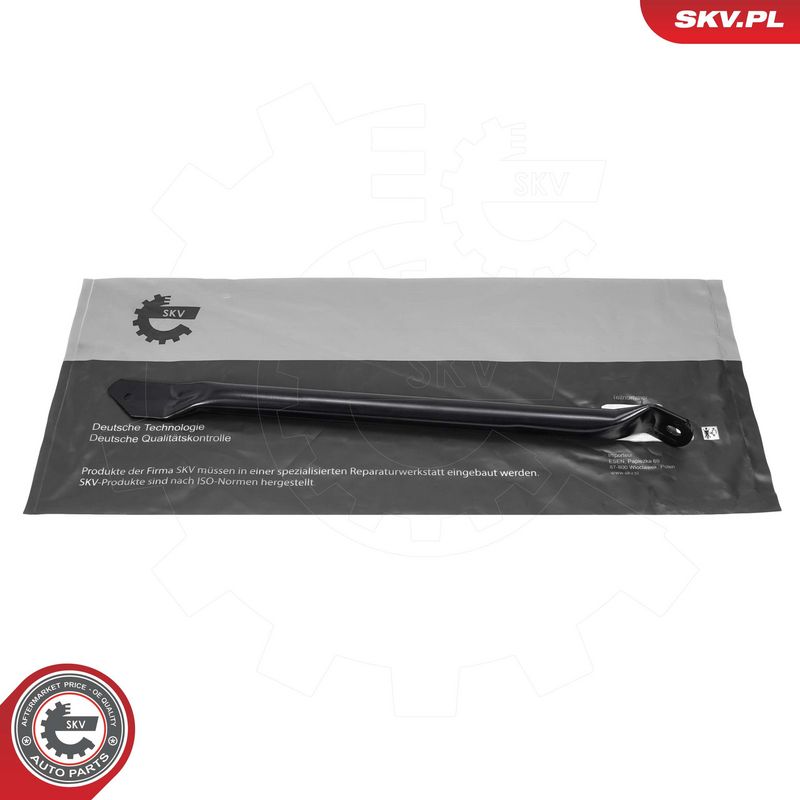 Esiosa detailiring, ESEN SKV 97SKV269