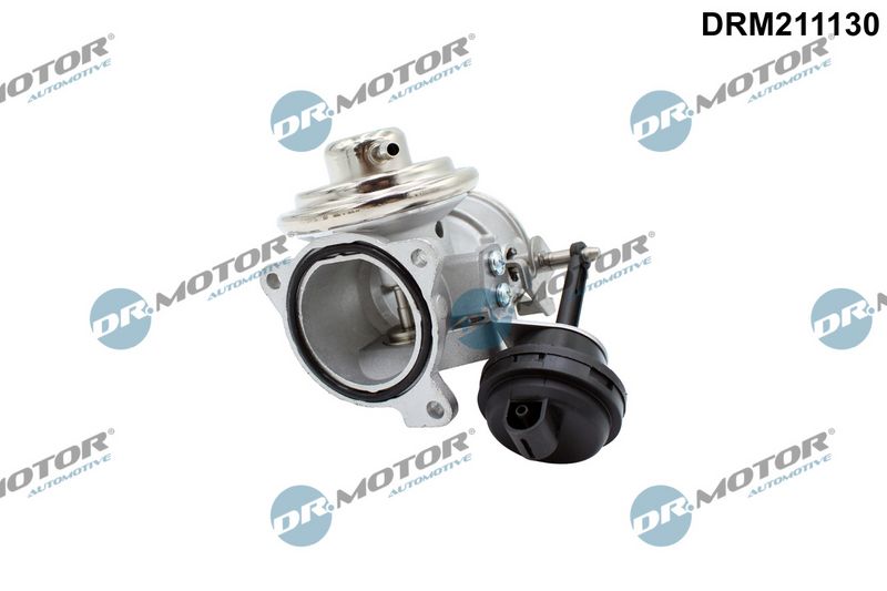 Dr.Motor Automotive ERG vožtuvas