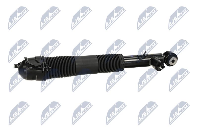 Amort, NTY A-LR-036