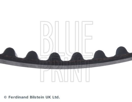 BLUE PRINT ADS77503 Timing Belt